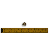 F 04915
<br/>
<br/>
<em></em>